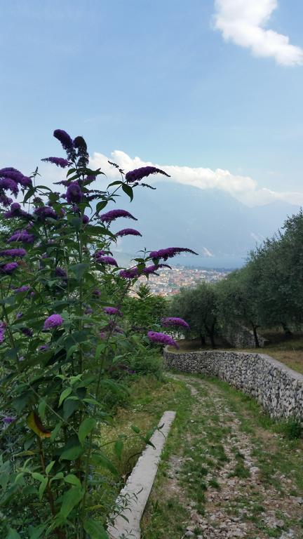 Apartment Weiss Home Riva del Garda Exterior photo